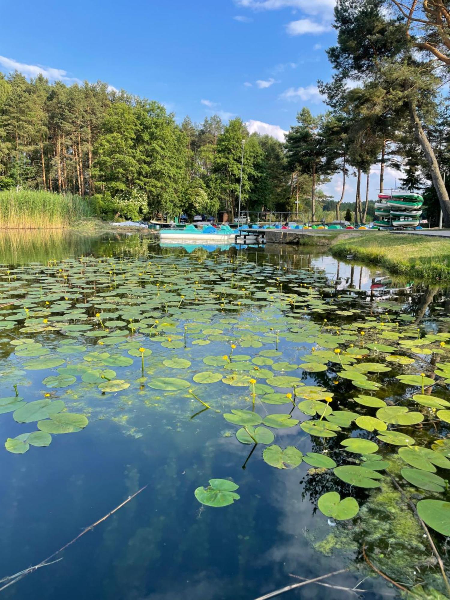 Osrodek Wypoczynkowy "Julia" W Samociazku Hotel Samociążek Eksteriør billede